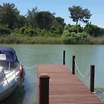 Sea Shell Luxury